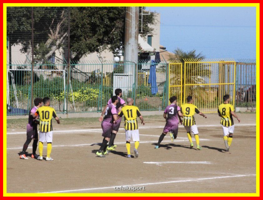 190310 Cephal_Torrenov 055_tn.jpg